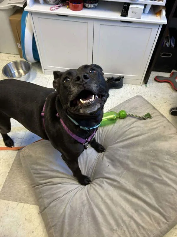 Cairo Leon thumbnail 4