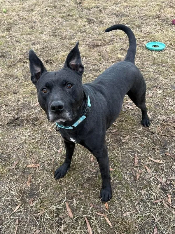 Cairo Leon thumbnail 6