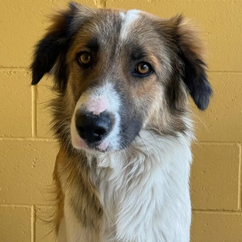 Peggy Lee thumbnail 2