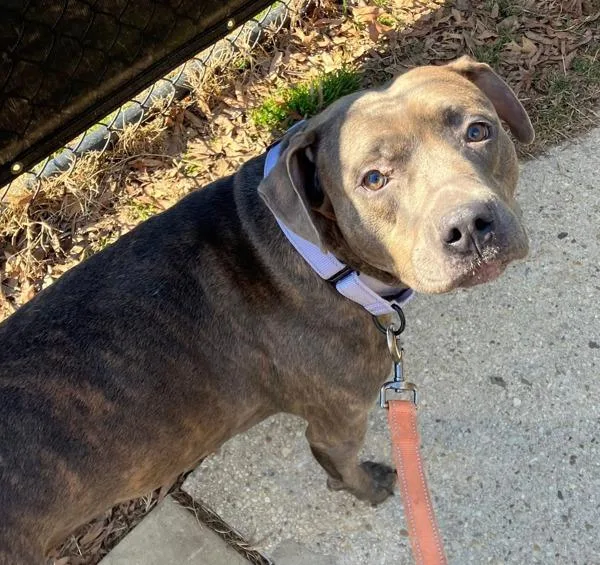 Skylight thumbnail 6