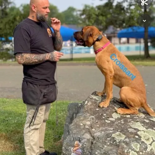 Croissant thumbnail 3