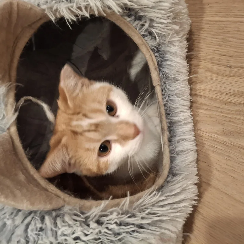 Infamous thumbnail 2