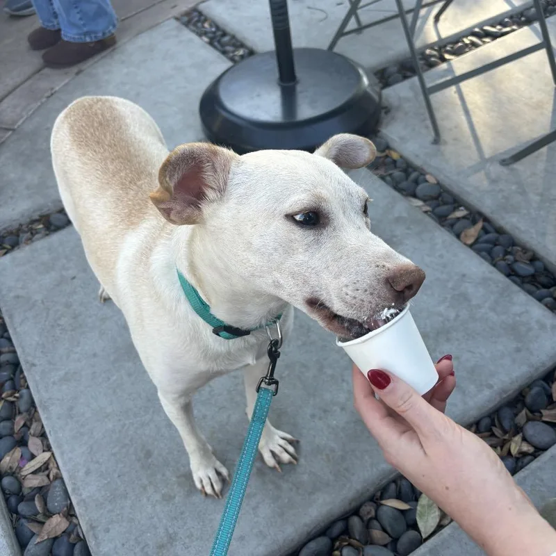 Chiquita thumbnail 2