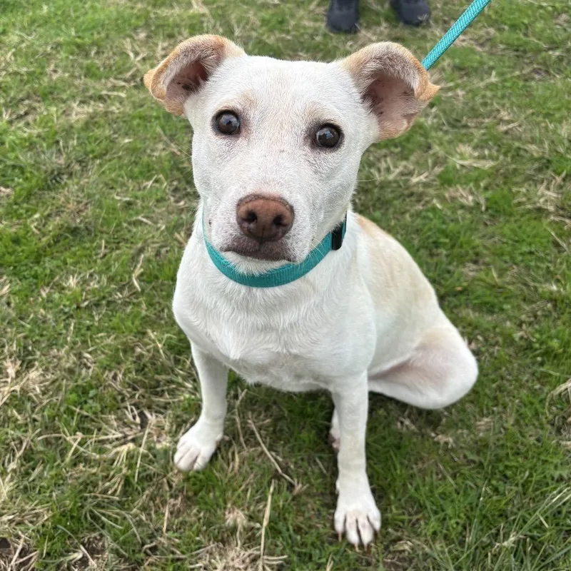 Chiquita thumbnail 4