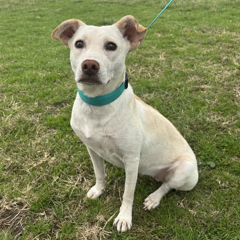 Chiquita thumbnail 5