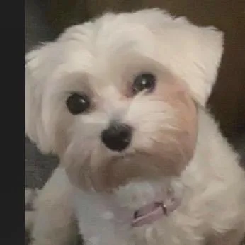 Princess  Home To thumbnail 3