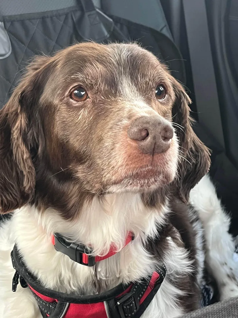 Mattieu Aka Matt  thumbnail 3