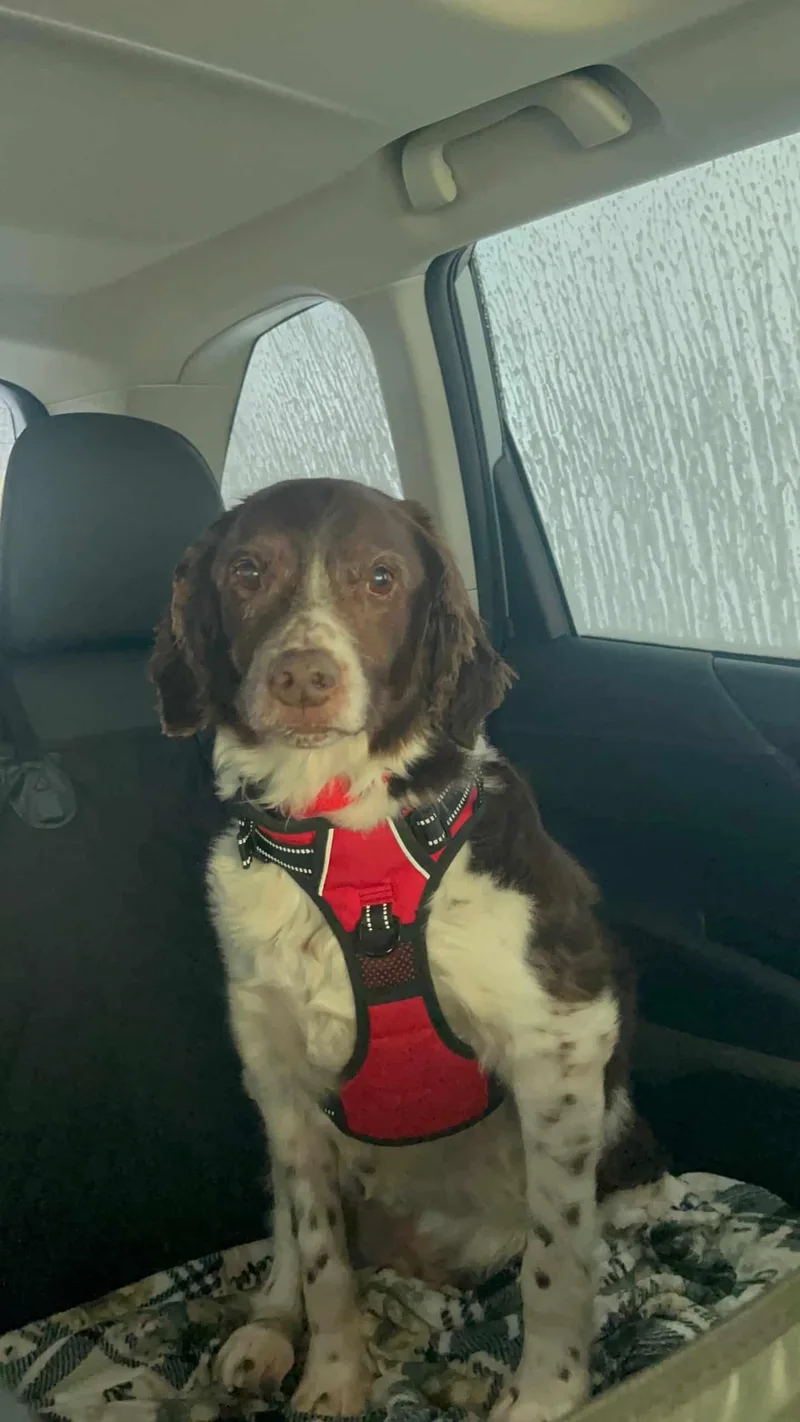 Mattieu Aka Matt  thumbnail 4