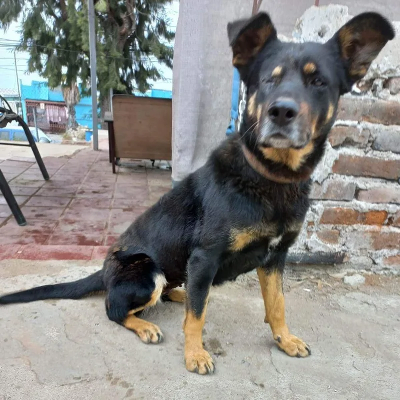 Catalina thumbnail 2