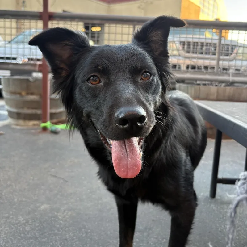 Georgie May thumbnail 2