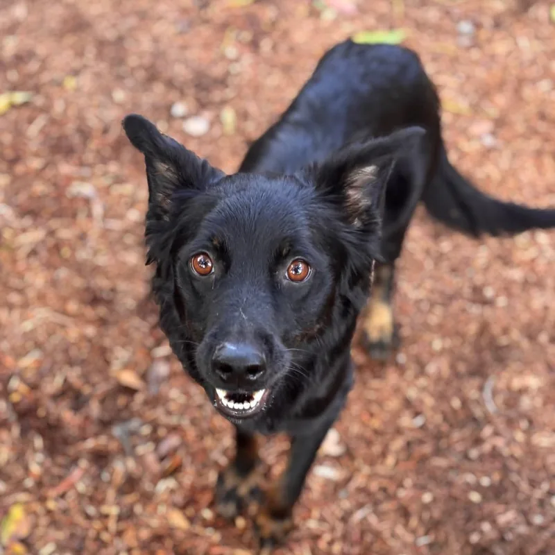 Georgie May thumbnail 3