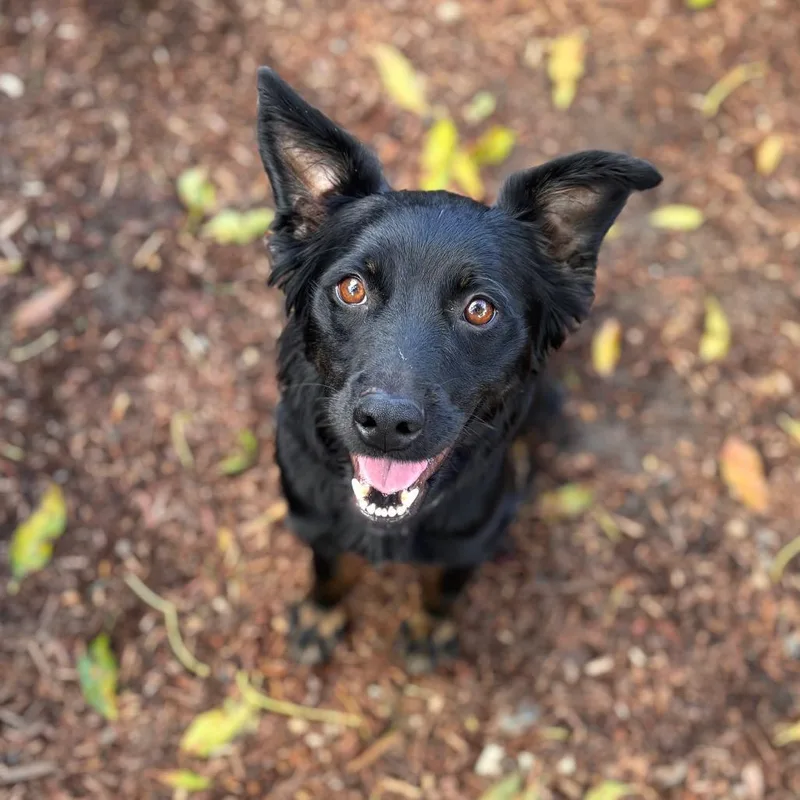 Georgie May thumbnail 4