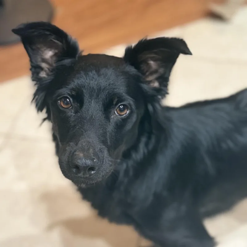 Georgie May thumbnail 5