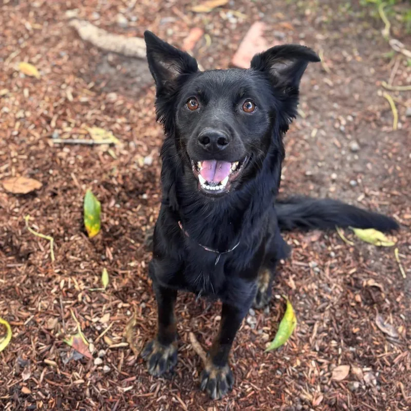 Georgie May thumbnail 6