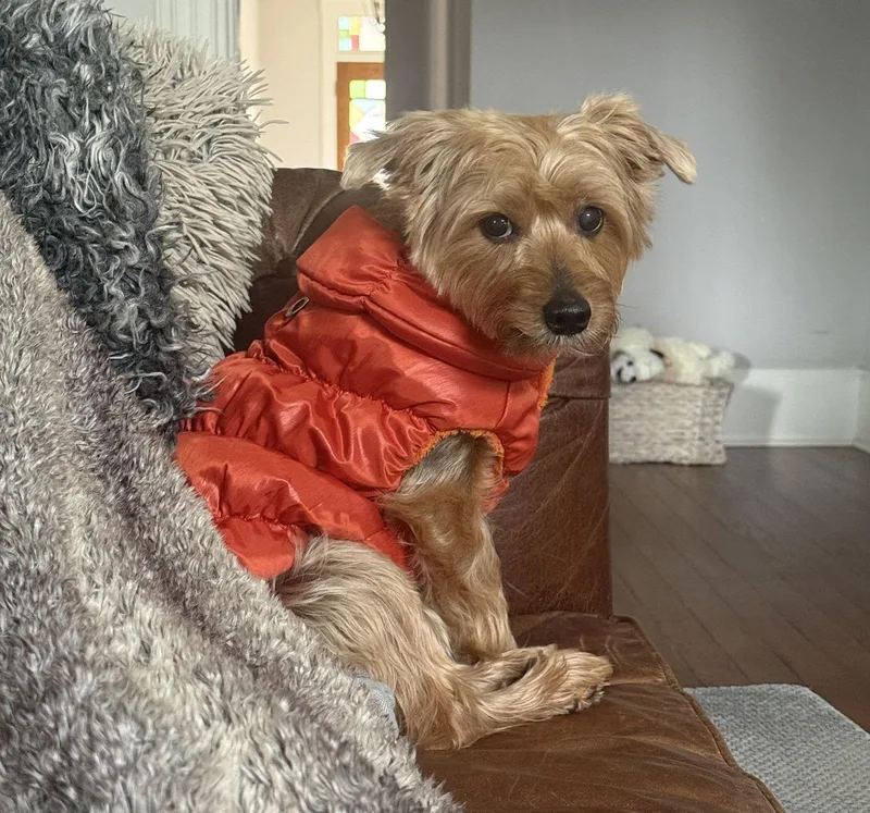 Chester Woodrow thumbnail 2