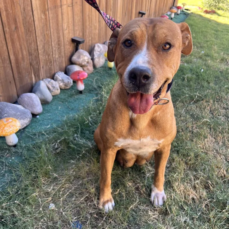 Claire Bear thumbnail 2