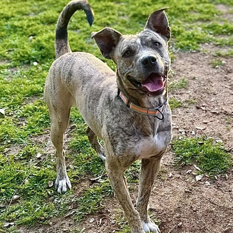 Coco Chanel thumbnail 3