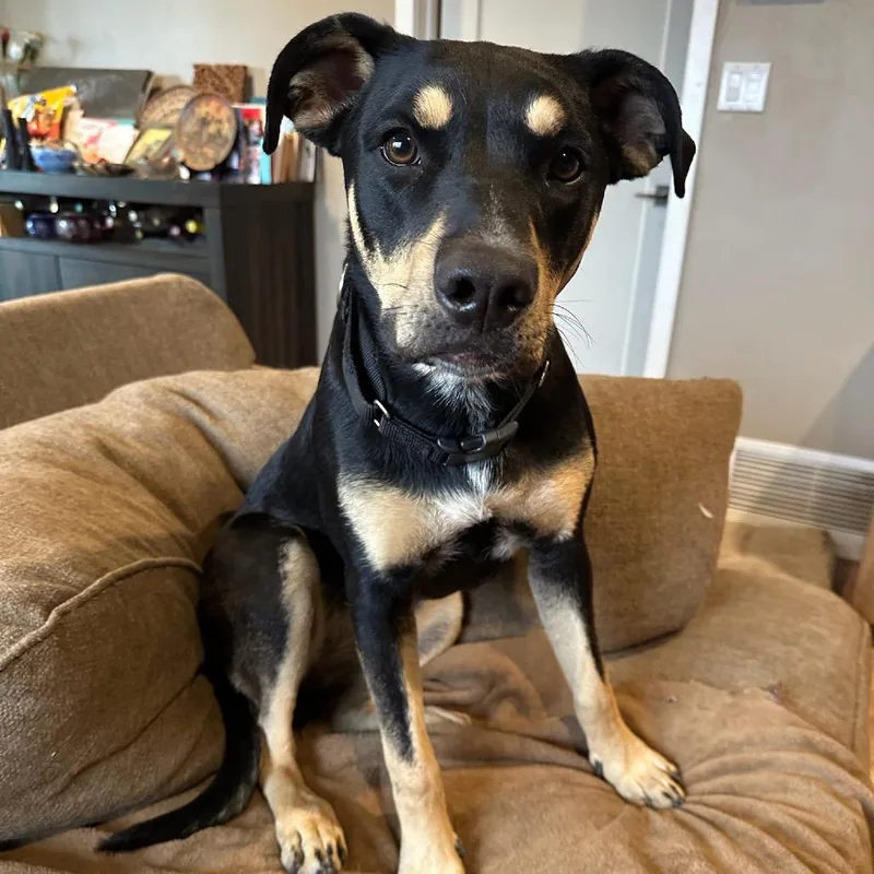 Sammie Sweetheart thumbnail 4