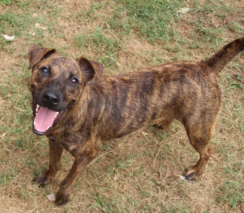 Little Debbie thumbnail 2