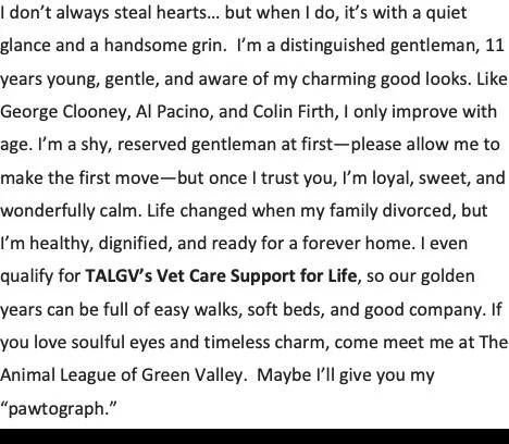 Baileyhandsome Gent Comes With thumbnail 2