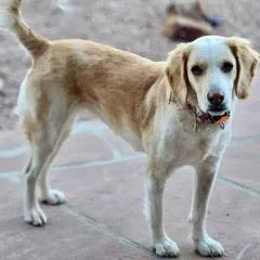 Gracie May thumbnail 2