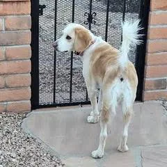 Gracie May thumbnail 3