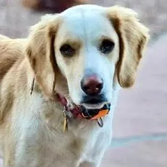 Gracie May thumbnail 4