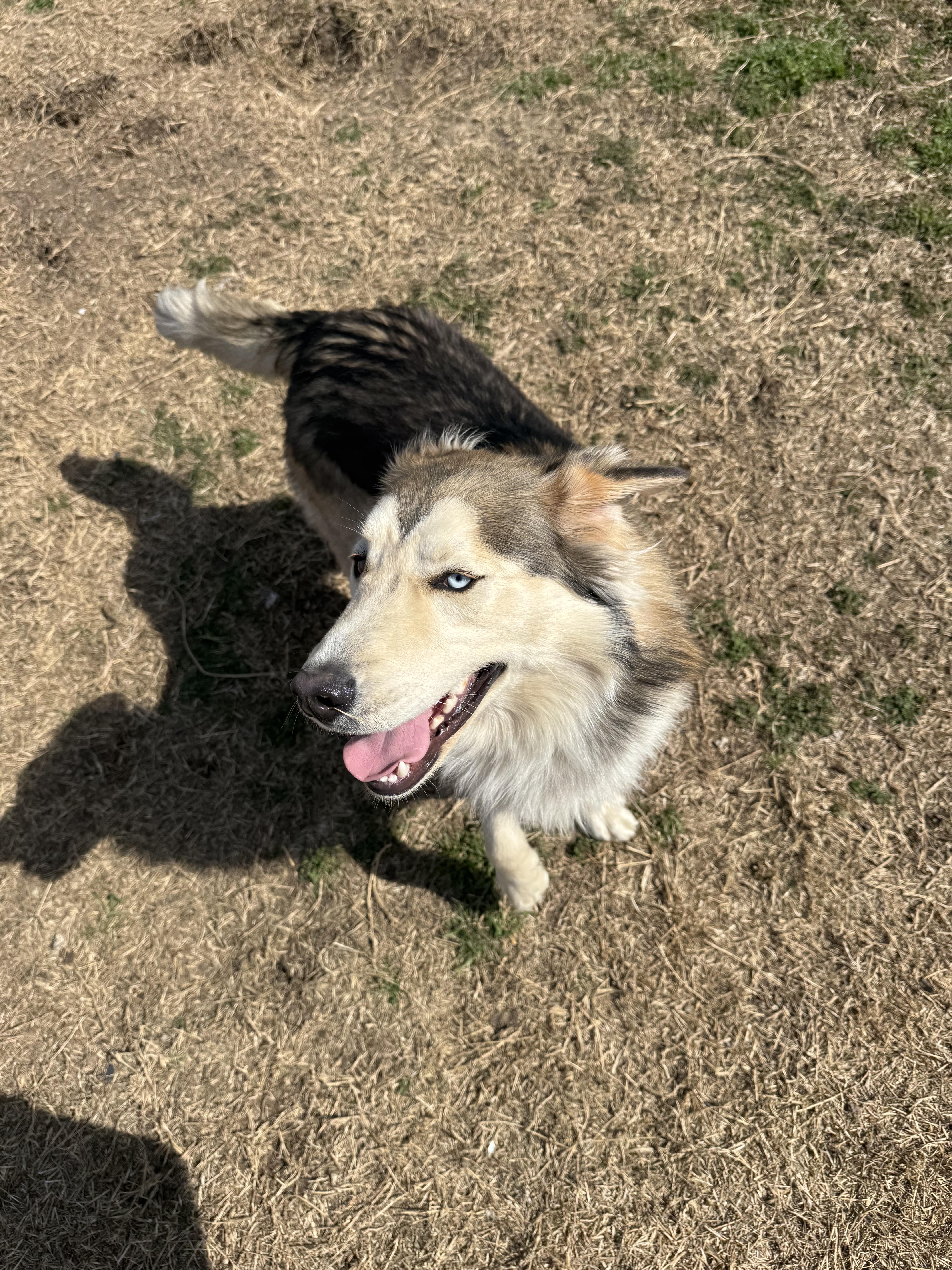 Everette thumbnail 2