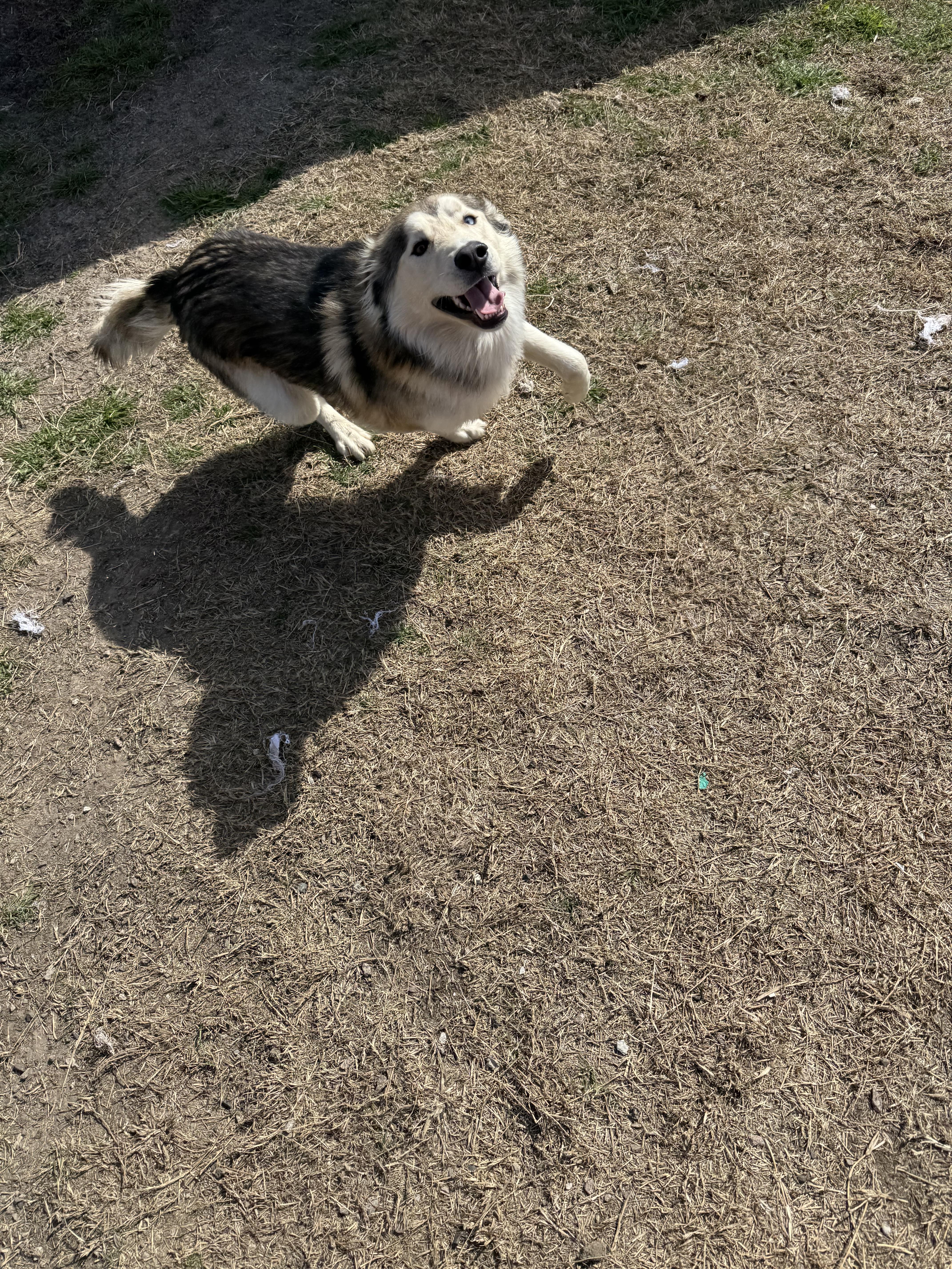 Everette thumbnail 3