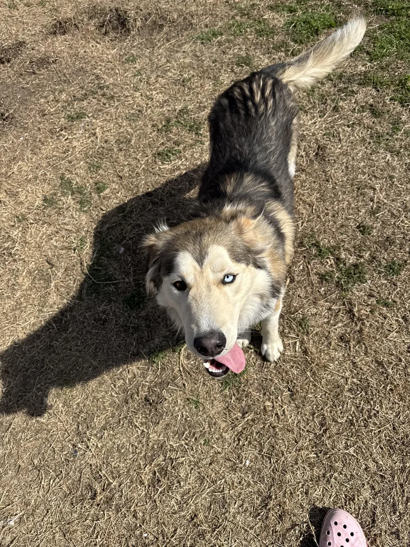 Everette thumbnail 4