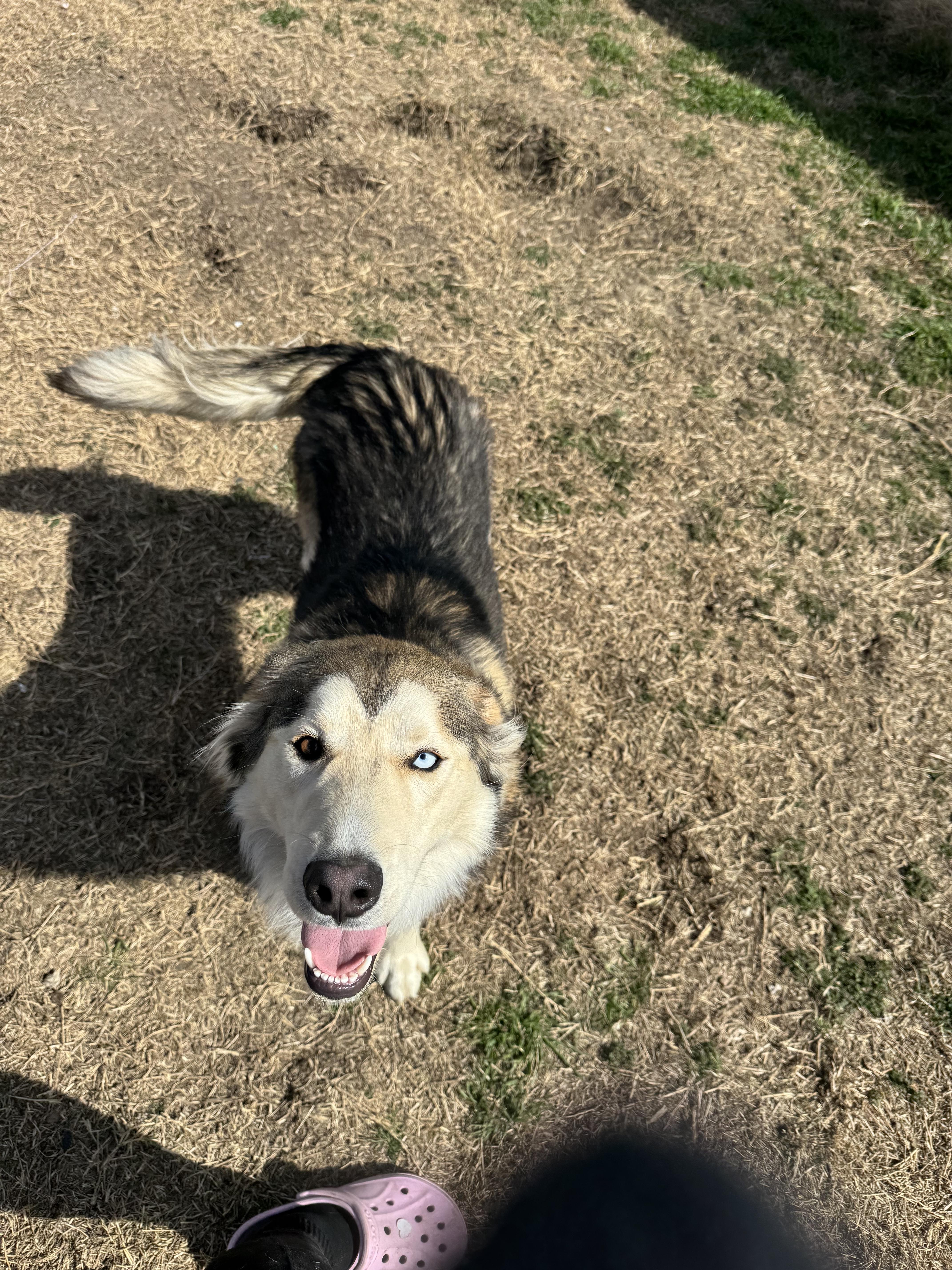 Everette thumbnail 5