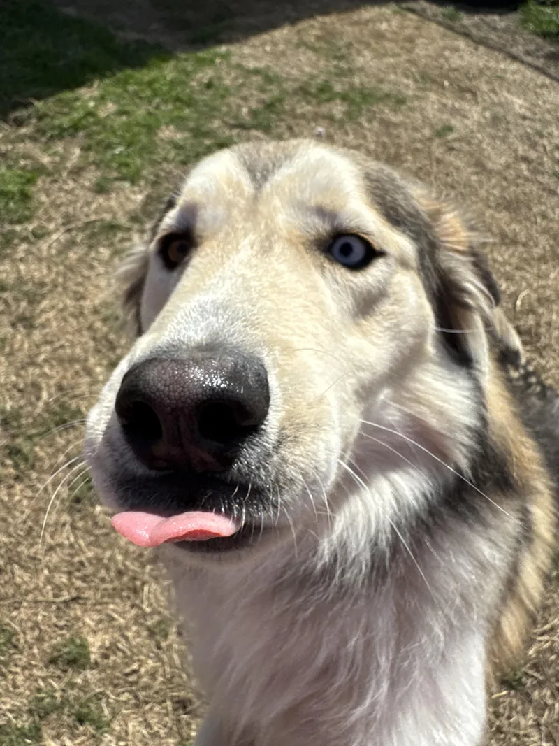 Everette thumbnail 6