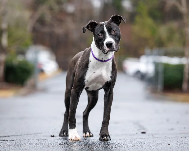 Foosball thumbnail 2