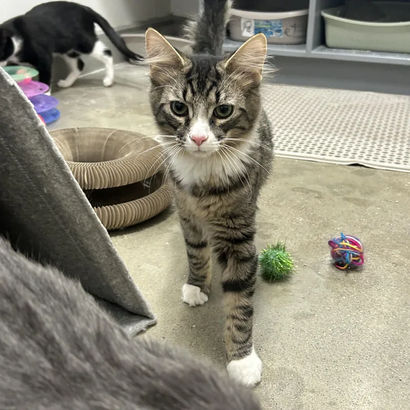 Ray & Stevie thumbnail 2