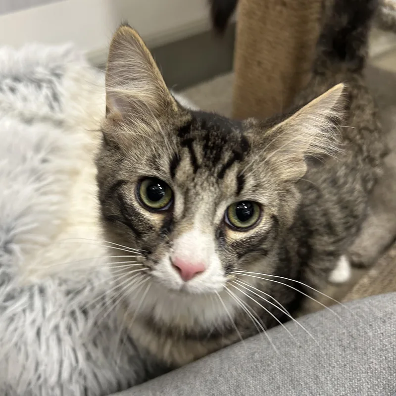 Ray & Stevie thumbnail 4