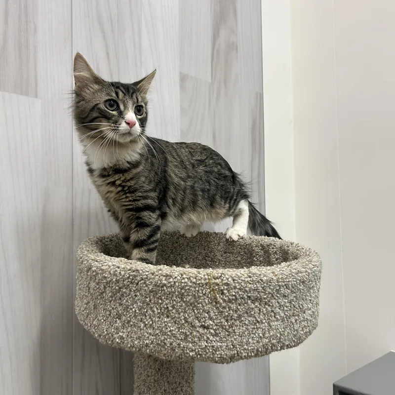 Ray & Stevie thumbnail 5