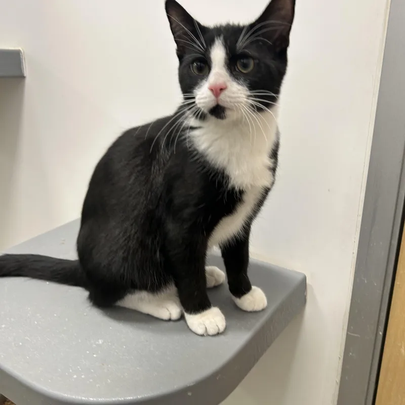 Ray & Stevie thumbnail 6