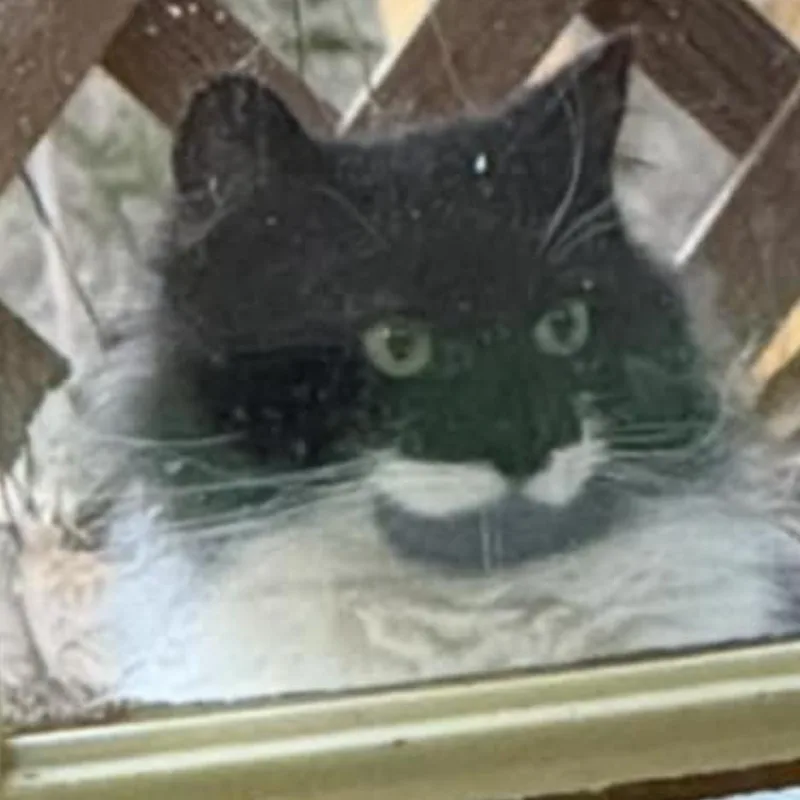 Winnie Love thumbnail 2