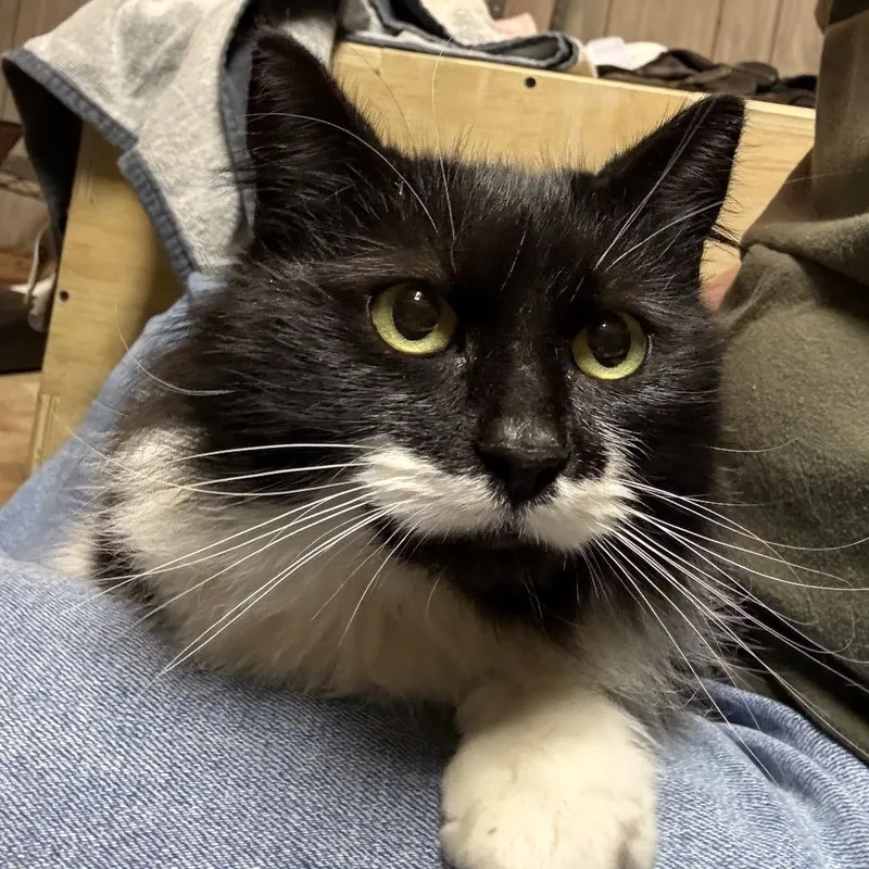 Winnie Love thumbnail 3