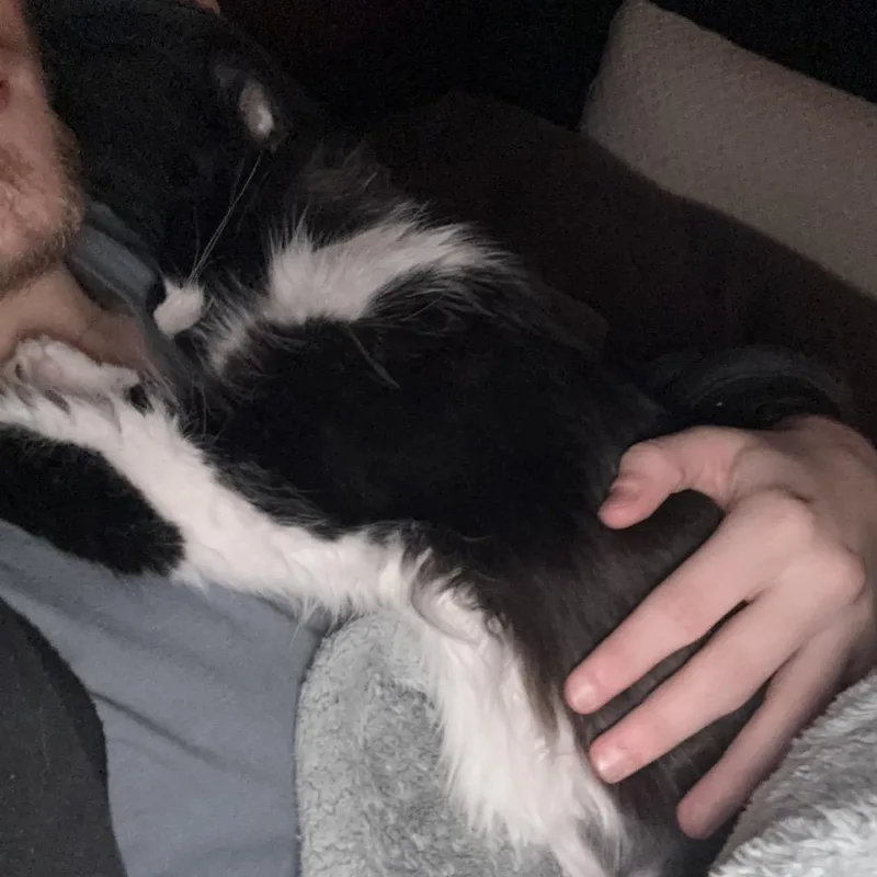 Winnie Love thumbnail 4