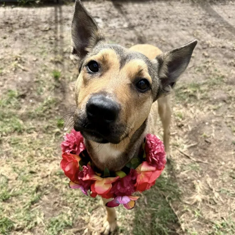 Lila Dee thumbnail 2