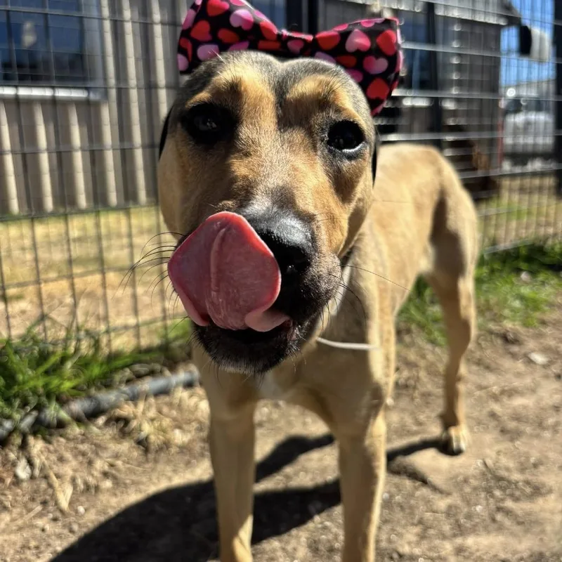 Lila Dee thumbnail 3