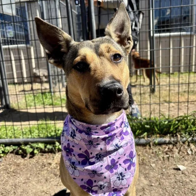 Lila Dee thumbnail 4