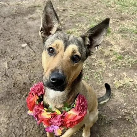 Lila Dee thumbnail 5