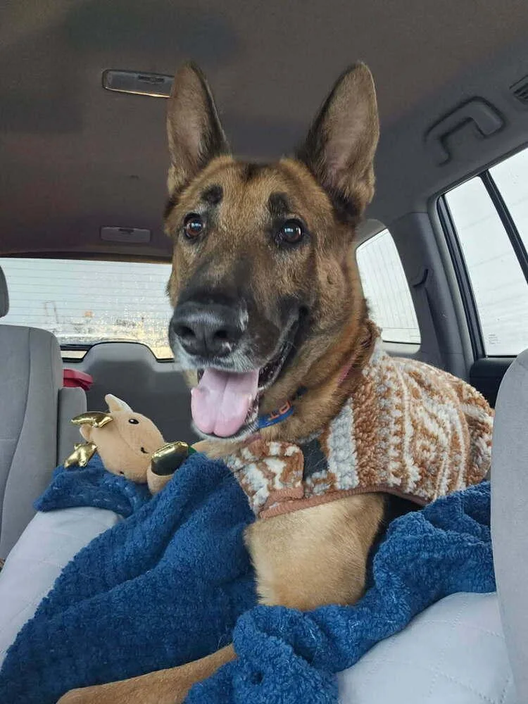 Doc Holiday thumbnail 2