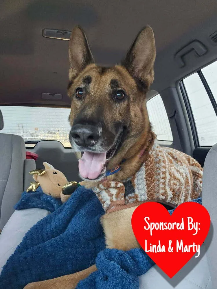 Doc Holiday thumbnail 4