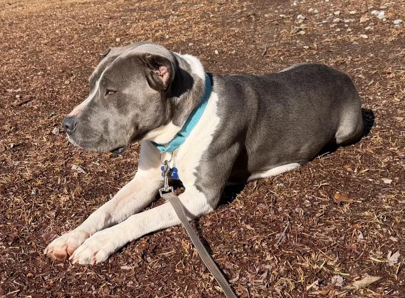 Freya Walton thumbnail 2