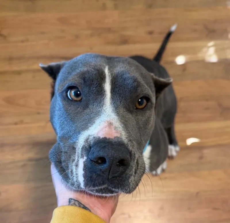 Freya Walton thumbnail 3