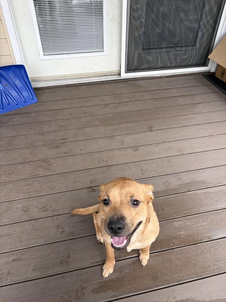 Miss Coco thumbnail 3