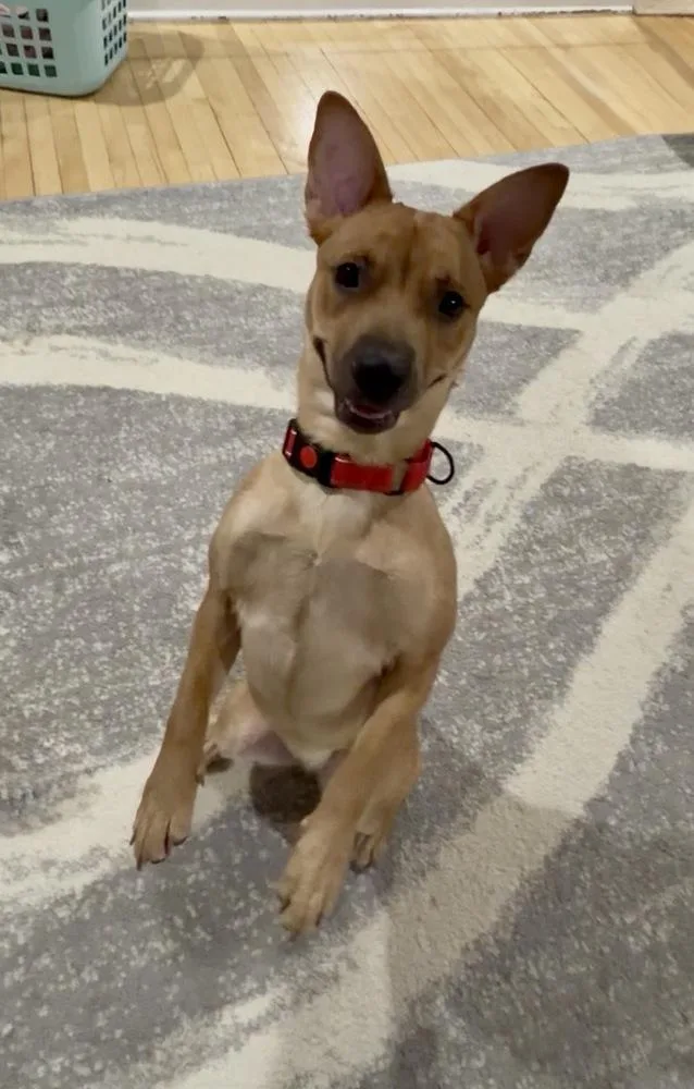 Miss Coco thumbnail 5